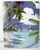 Beach Birthday Card "Paradise at Noon" - BDG43710