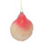 Sparkle Scallop Sea Shell Ornament - 3OT444-SC