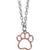 With Cats All Things are Pawsible Pendant Necklace and Charm Set - 16108