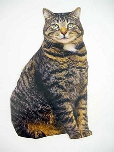 Cat Birthday Card Brown Tabby  - CDC01-0014E