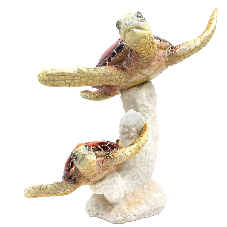 Red Back Sea Turtles on Coral