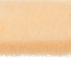 Scotch-Brite High Gloss Disc, HG-DC, 6" x NH