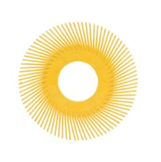 Scotch-Brite Radial Bristle Brush Replacement Disc, T-A 80 Refill, 6", 40 per carton, 80 per case