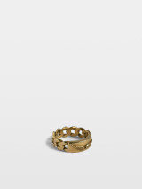 CHAIN RING