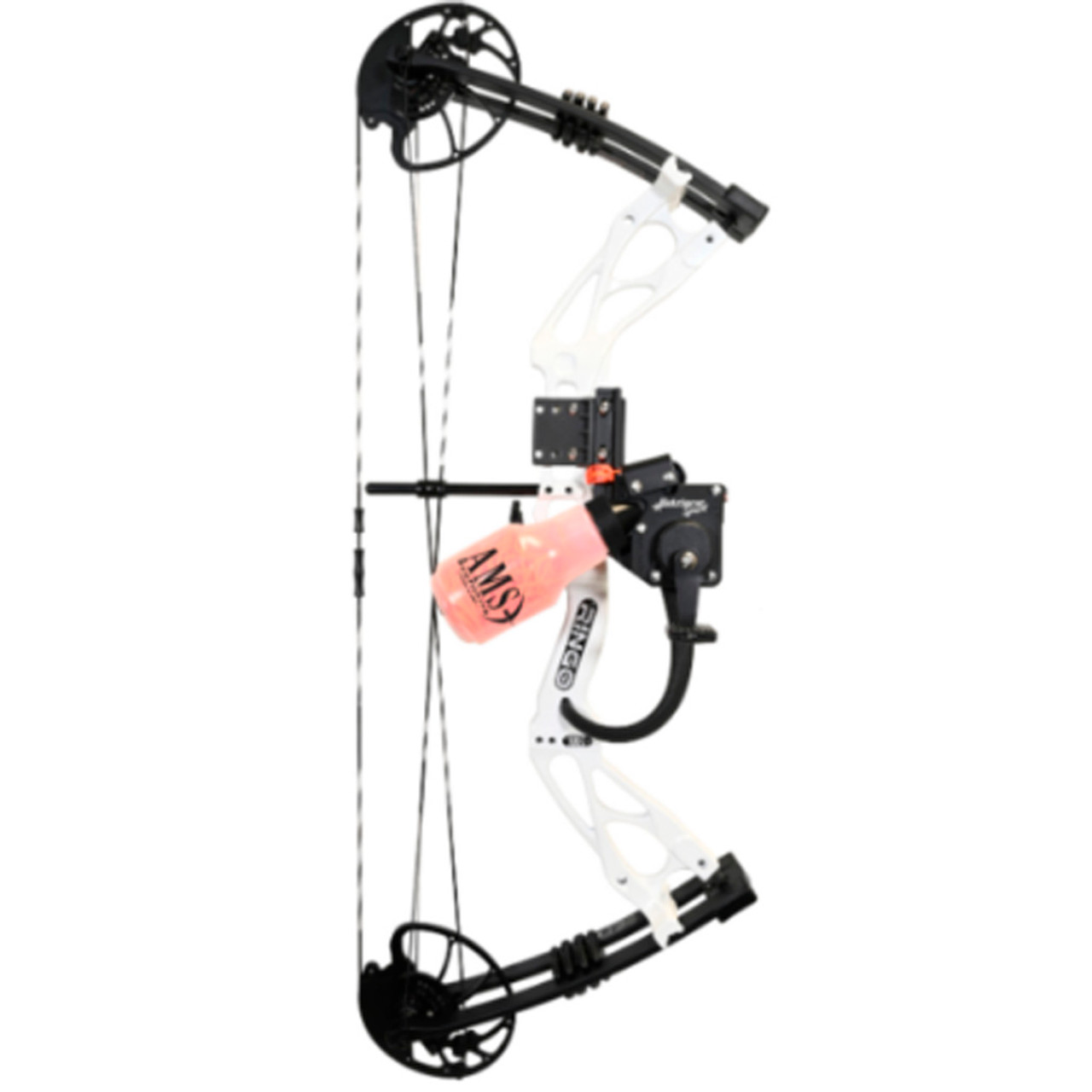 Ringo Bowfishing Bow - The ultimate in Bow Fishing