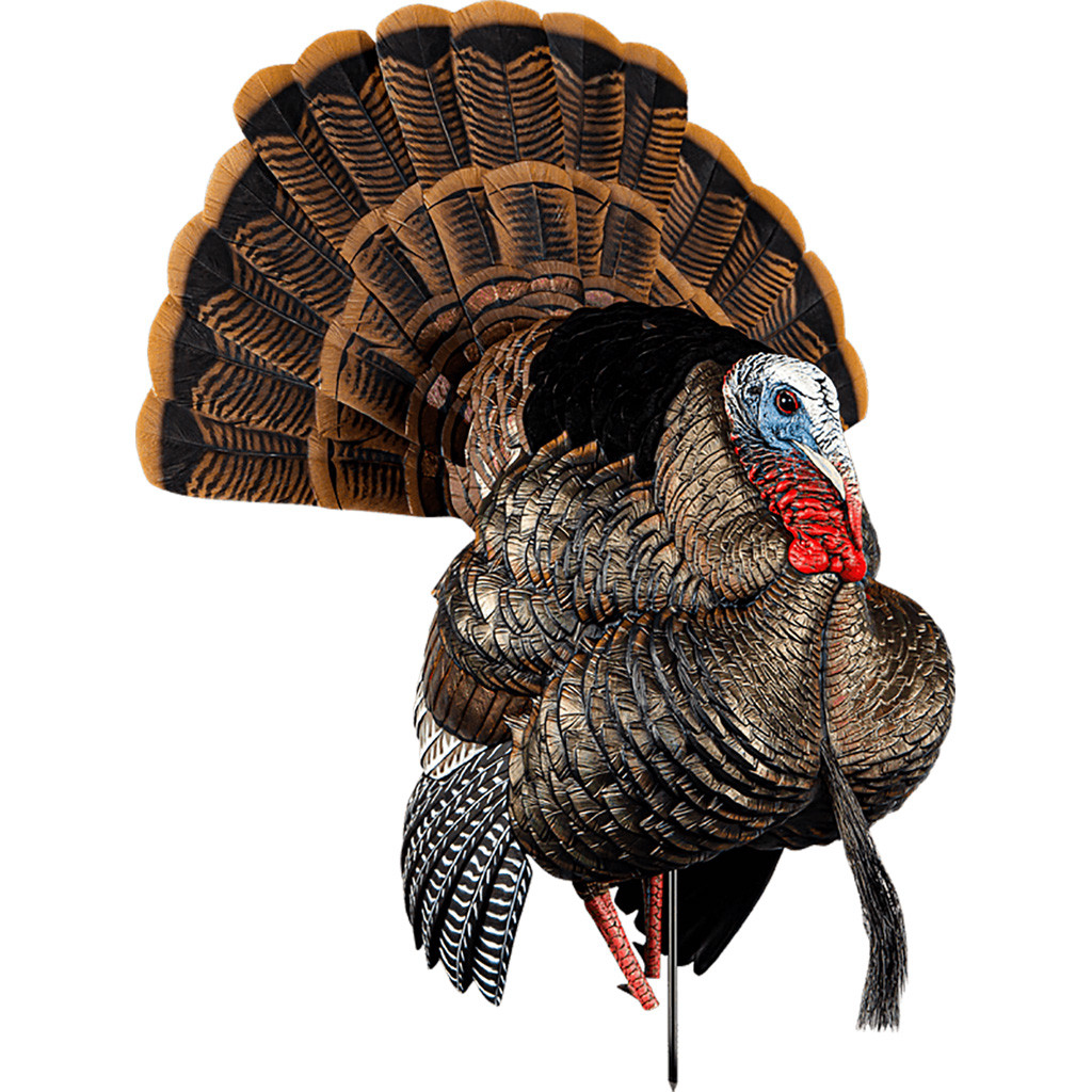 Avian-X HDR Strutter