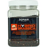 Domain Hybrid Brassica Pounder Seed