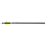 Tenpoint Evo-x Centerpunch Arrows