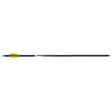 Tenpoint Lighted Alpha Brite Arrows