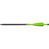 Barnett Demun Hyperbolts 2-fletch 12 Pk.