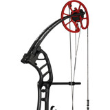 Cajun Shore Runner Evs