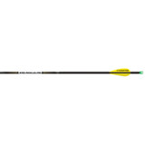 Easton X10 Parallel Pro Arrows W/aae Hybrid Vanes 6 Pk.