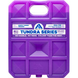 Arctic Ice Tundra Series