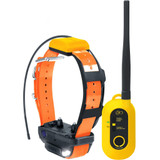 Dogtra Pathfinder2 Wireless Collar