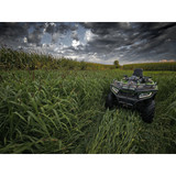 Domain Landing Strip Seed 1/4 Acre