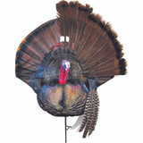 Montana Decoy Wiley Tom Turkey Decoy