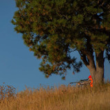 Allen Softshell Blaze Hunting Vest