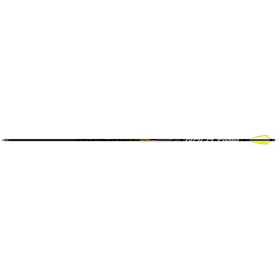 Gold Tip Valkyrie Xt Arrow