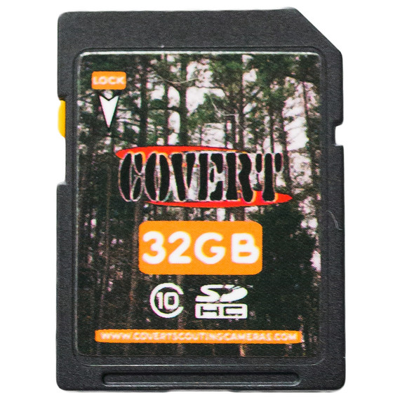 Covert Sd Memory Card