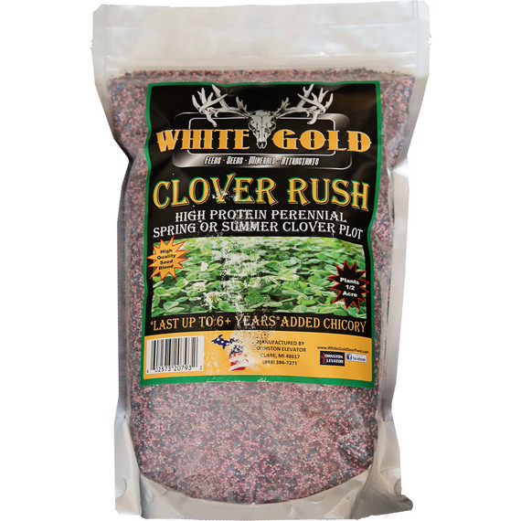 White Gold Clover Rush Seed