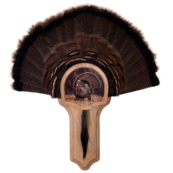 Walnut Hollow Deluxe Turkey Display Kit