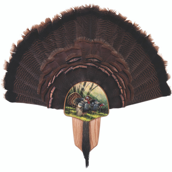 Walnut Hollow Turkey Display Kit