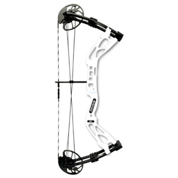 Cajun Bowfishing Sucker Punch Pro RTF Compound Bow Package