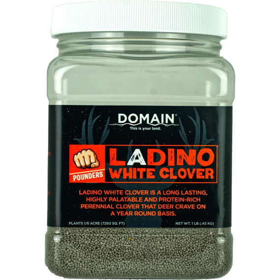 Domain White Clover Pounder Seed