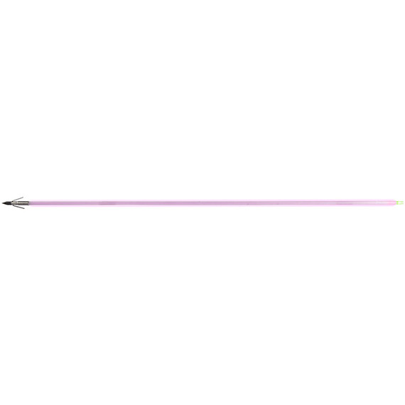 Muzzy Saber Fish Arrow