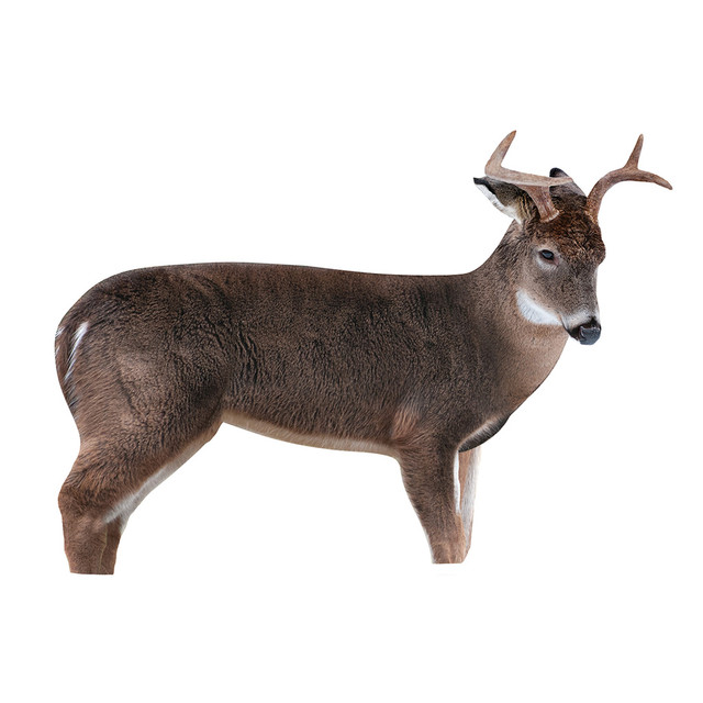 Montana Decoy The Freshman Buck Decoy