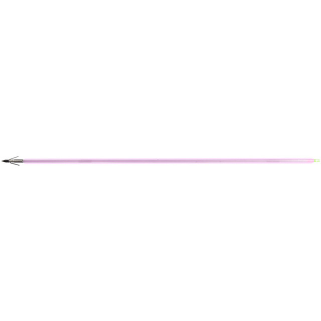 Muzzy Saber Fish Arrow