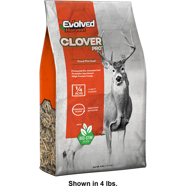 Evolved Clover Seed 4 Lb.