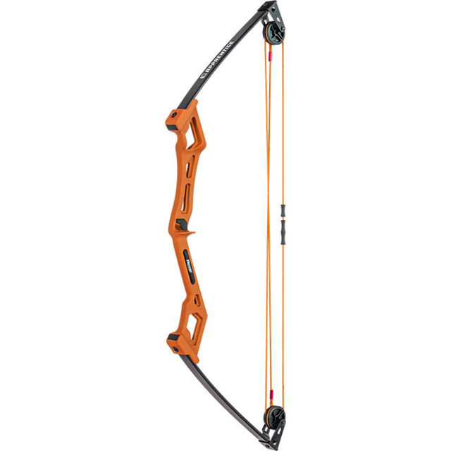 Bear Apprentice Bow Set Rh