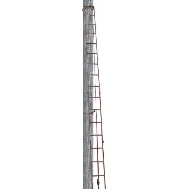 Trophy Treestands Hangtime Ladder