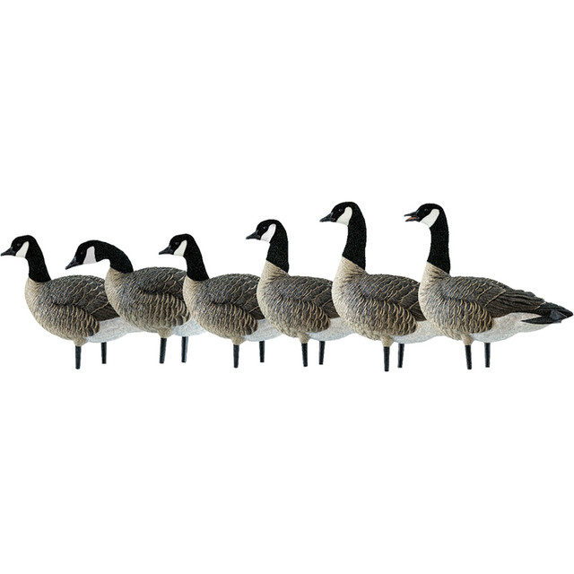 Avian X Axp Lessers Active Pack Canada Geese