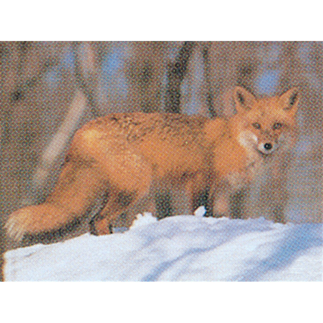 Delta Mckenzie Tru-life Target Fox
