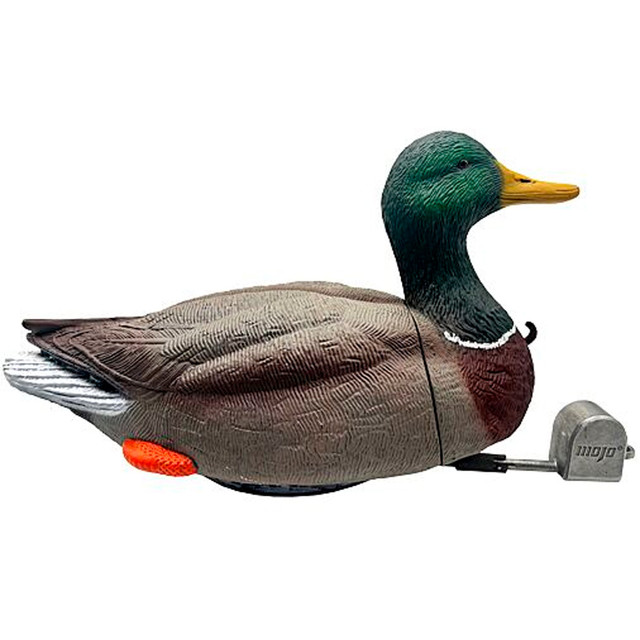 Mojo Dabbler Duck Mallard
