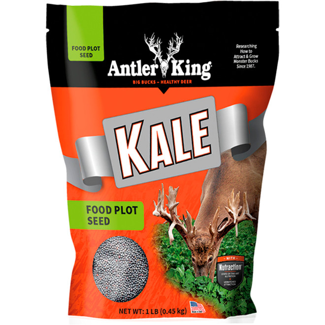 Antler King Kale Seed