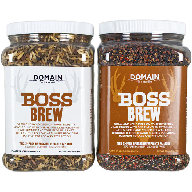 Domain Boss Brew Seed