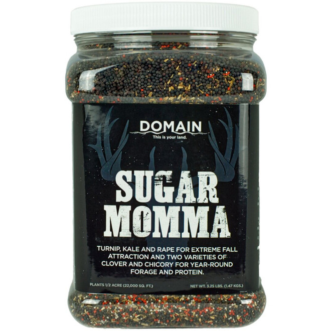 Domain Sugar Momma Seed