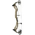 Bear The Hunting Public Adapt Bow