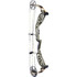 Bear The Hunting Public Adapt 2 Bow Right Hand