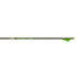 Gold Tip Velocity Xt Arrows 300 Raptor Vanes 6 Pk.