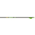 Gold Tip Hunter Xt Arrows 300 Raptor Vanes 6 Pk.