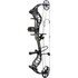 Bear Species Xt Rth Bow Package 55-70 Lbs