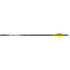 Easton X10 Parallel Pro Arrows W/aae Hybrid Vanes 6 Pk.