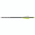 Carbon Express Thunder Express Arrows 26 In.