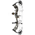 Bear Paradigm Rth Package Strata/black