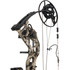 Bear Paradigm Rth Package Whitetail/black