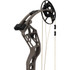 Bear Alaskan Xt Bow Stone